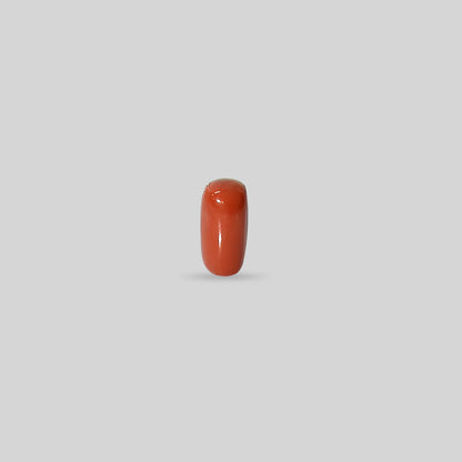 Italian Red Coral - 12.45 Carats