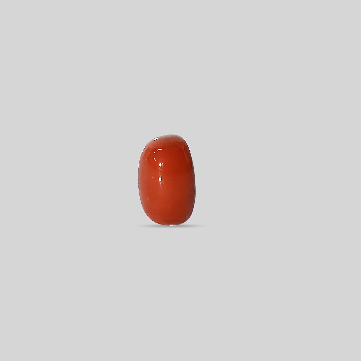 Italian Red Coral - 12.46 Carats