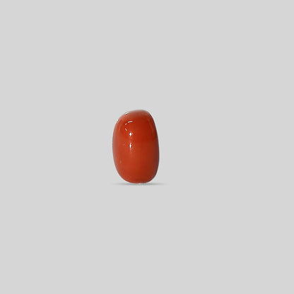 Italian Red Coral - 12.46 Carats