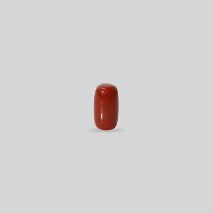 Italian Red Coral - 12.57 Carats