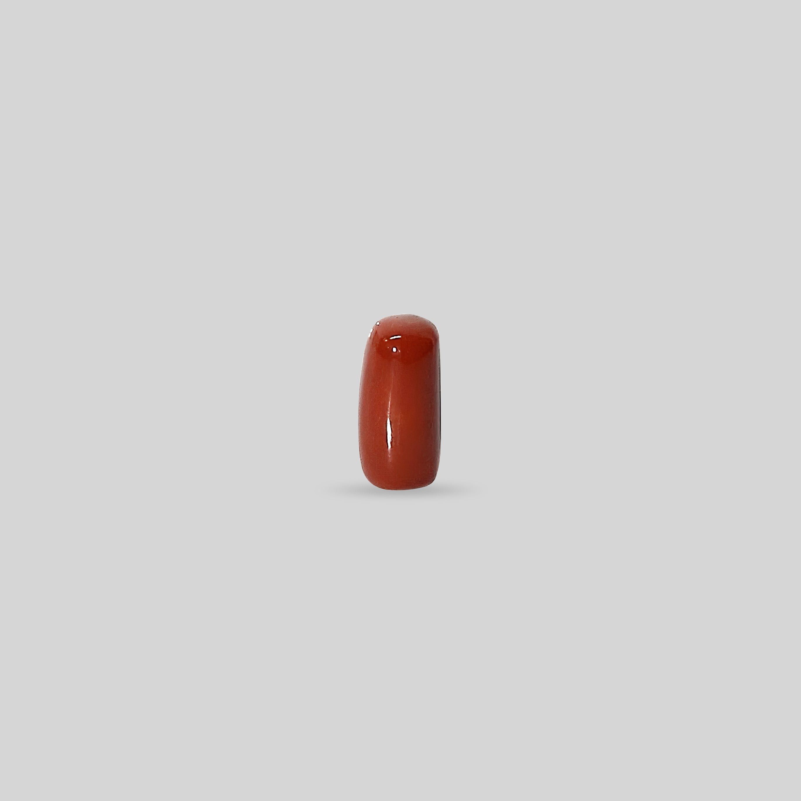 Italian Red Coral - 12.57 Carats
