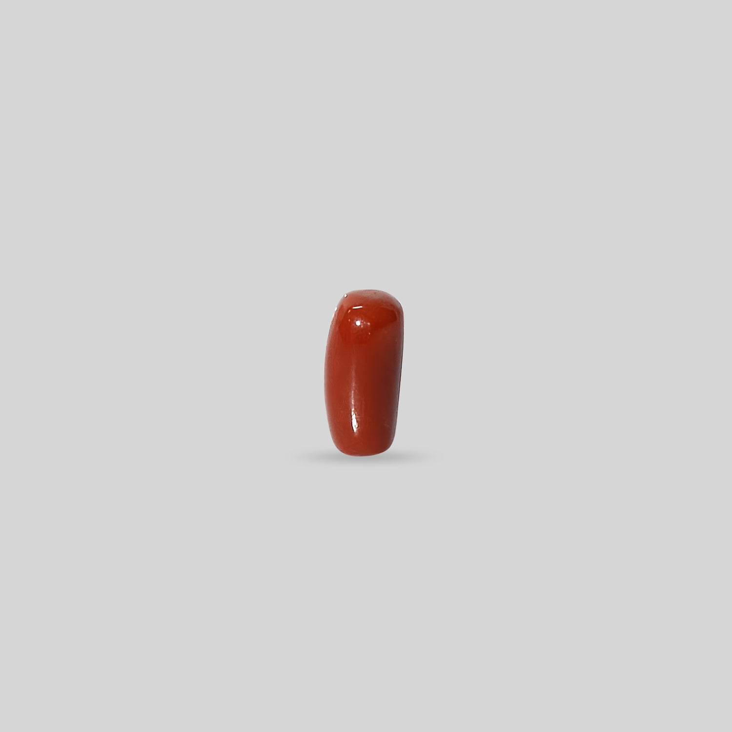 Italian Red Coral - 12.83 Carats