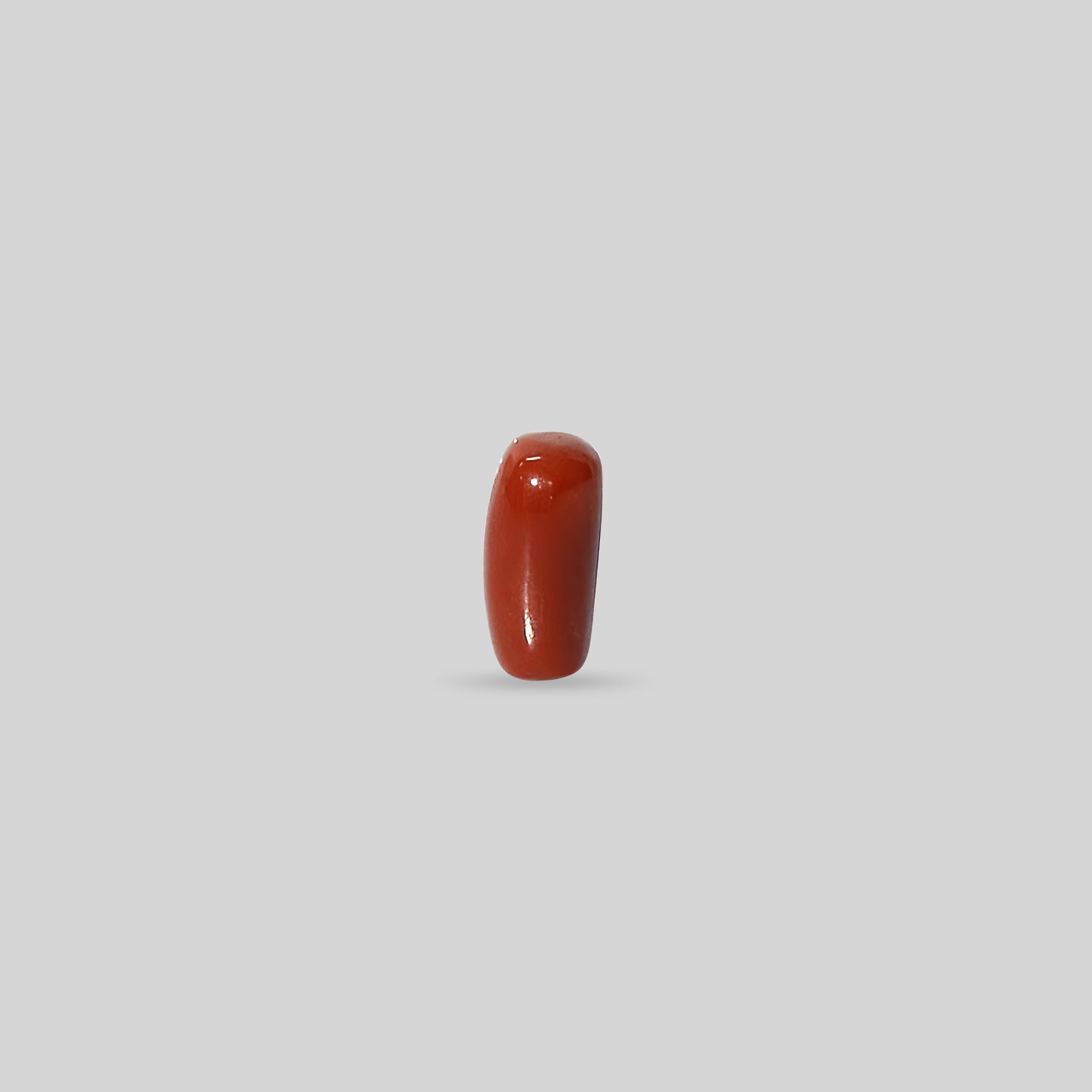 Italian Red Coral - 12.83 Carats