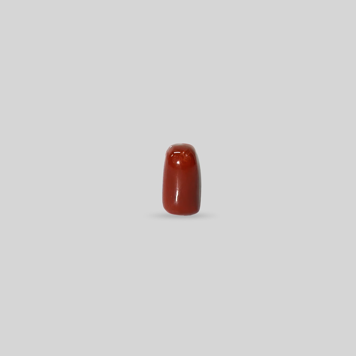Italian Red Coral - 12.84 Carats