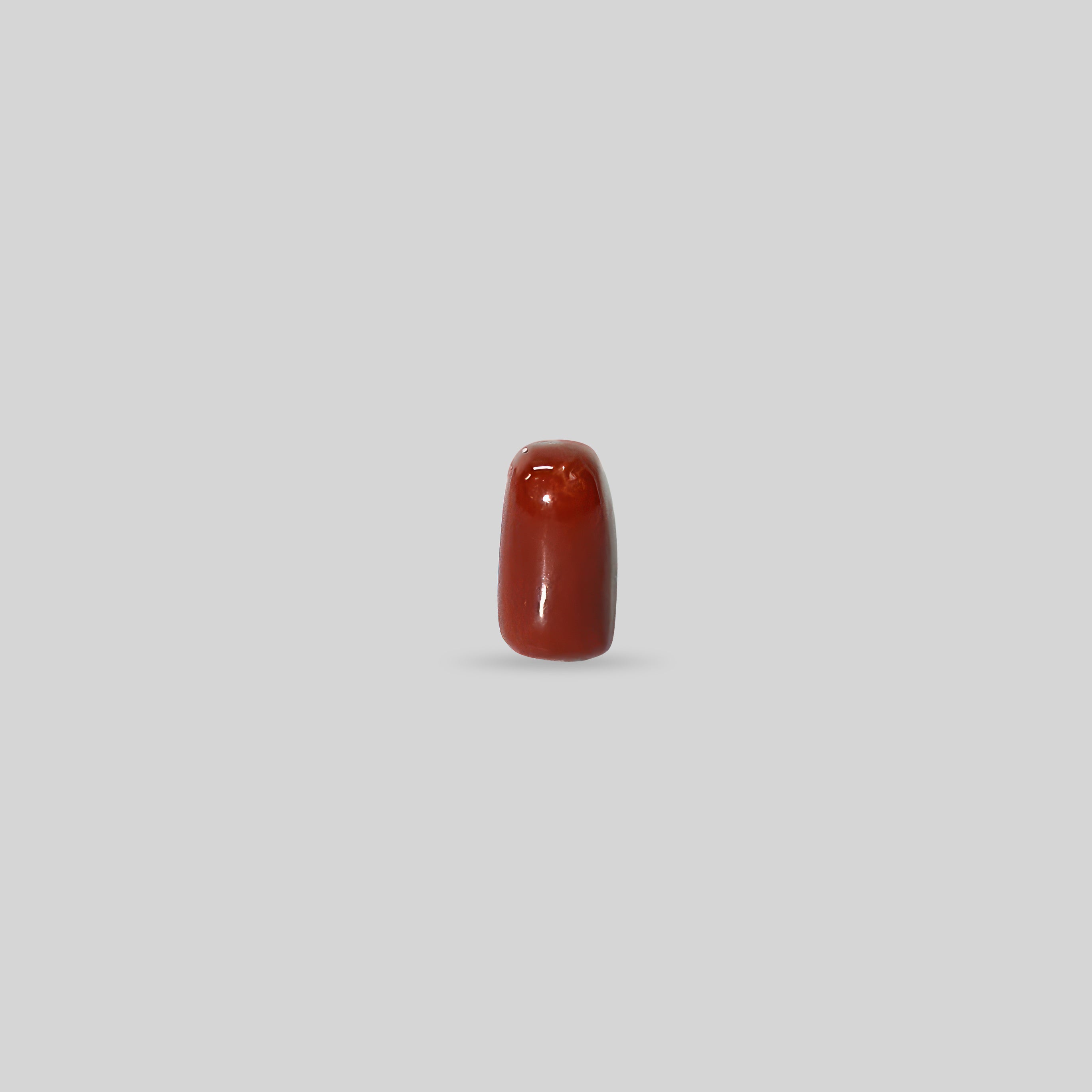 Italian Red Coral - 12.84 Carats