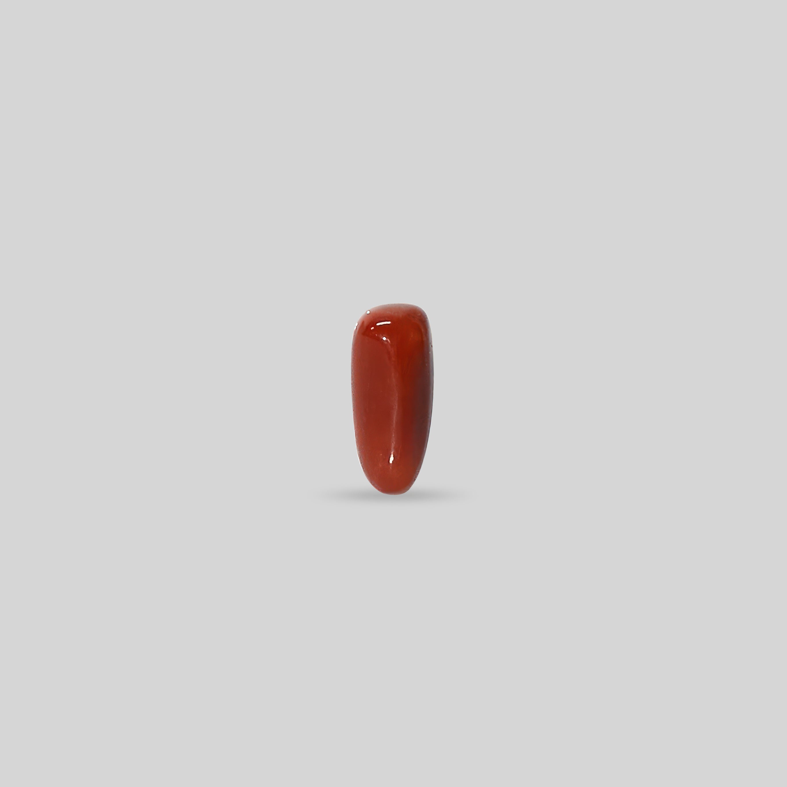 Italian Red Coral - 13.58 Carats