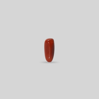 Italian Red Coral - 13.58 Carats