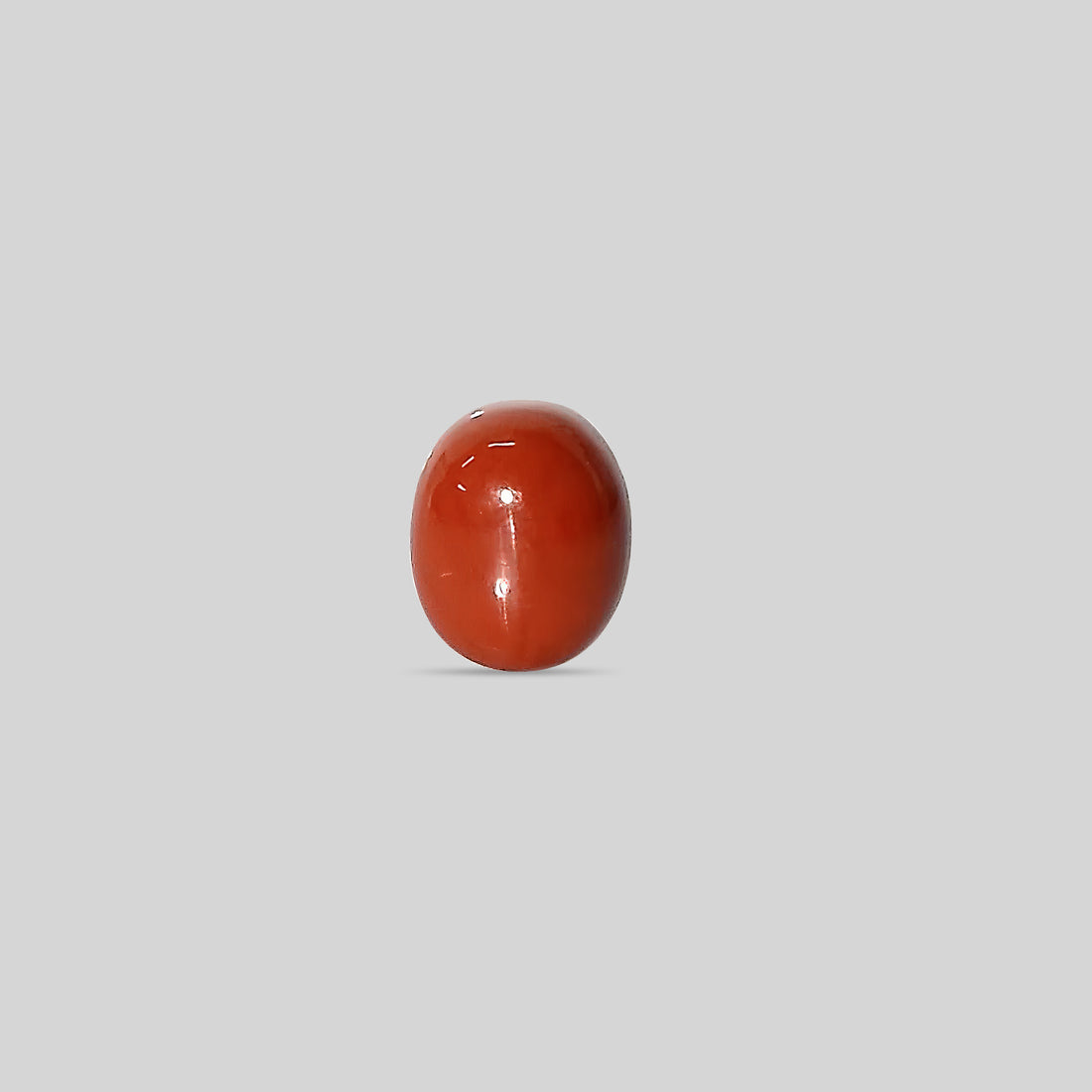 Italian Red Coral - 14.08 Carats
