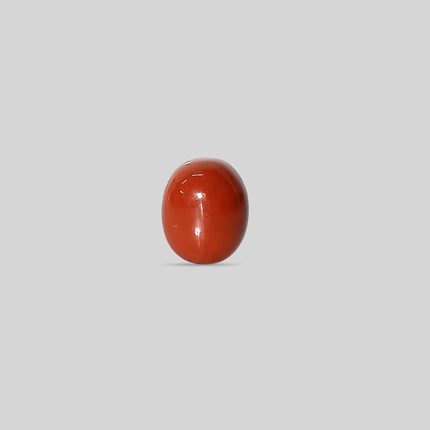 Italian Red Coral - 14.08 Carats
