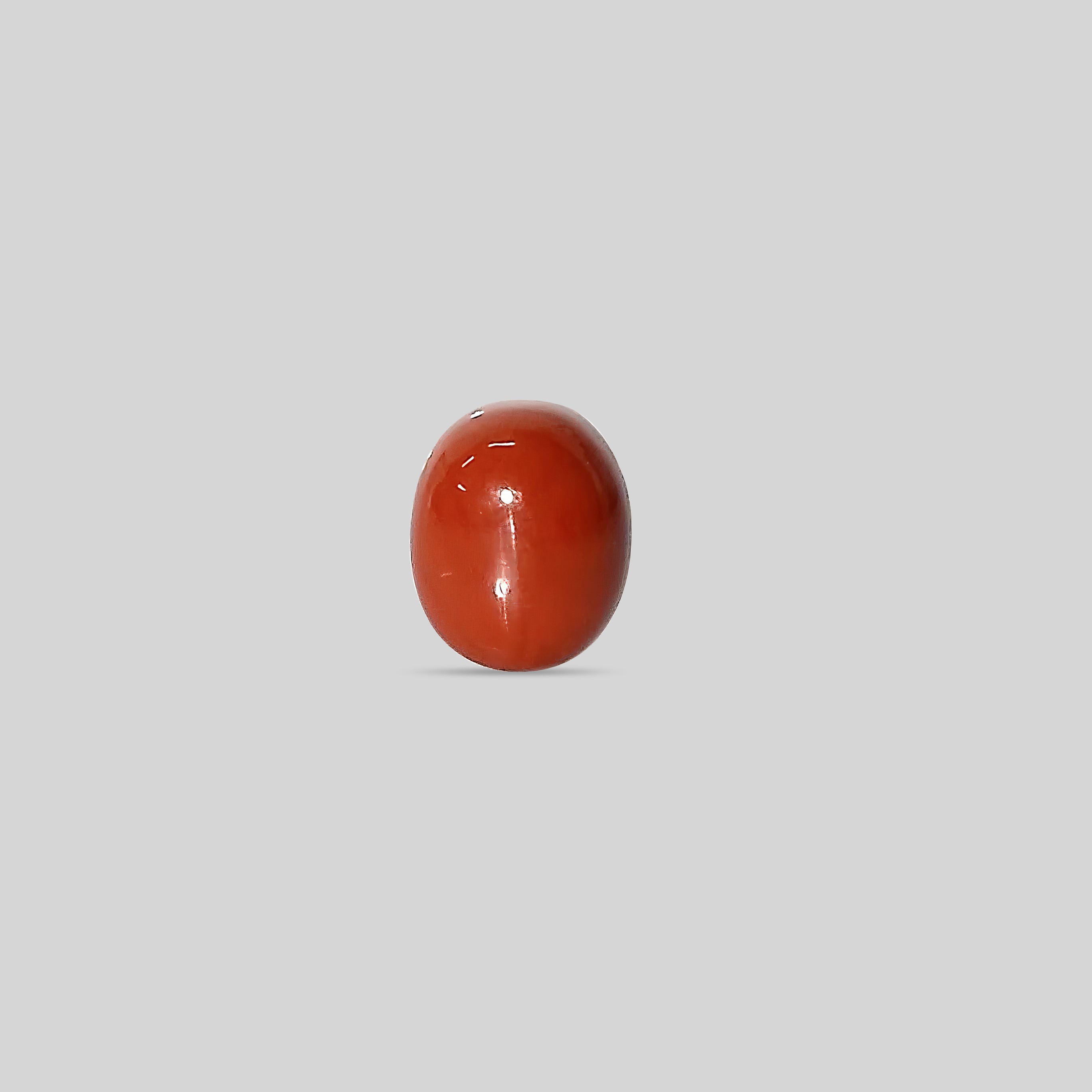 Italian Red Coral - 14.08 Carats