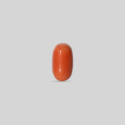 Italian Red Coral - 14.65 Carats