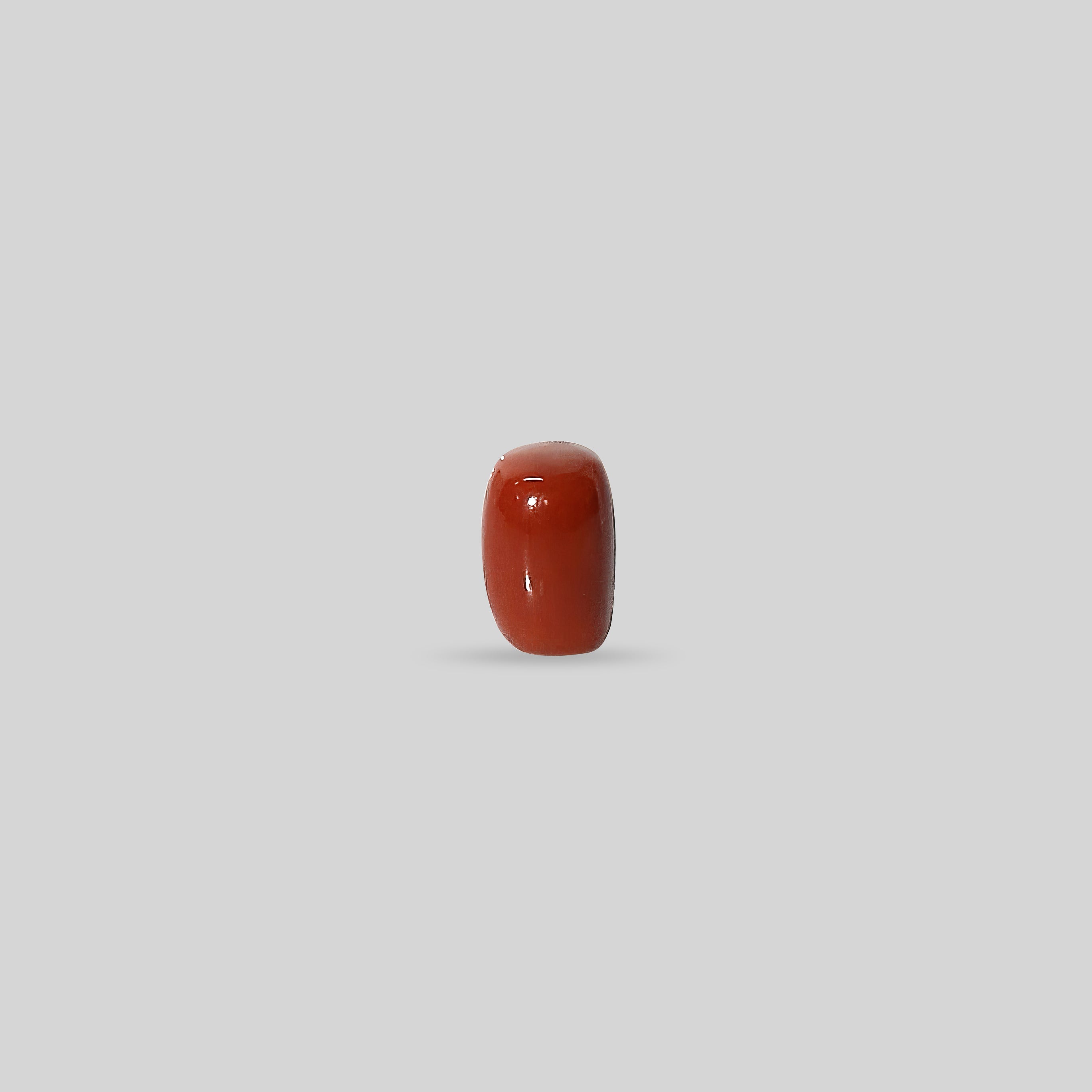 Italian Red Coral - 15.03 Carats