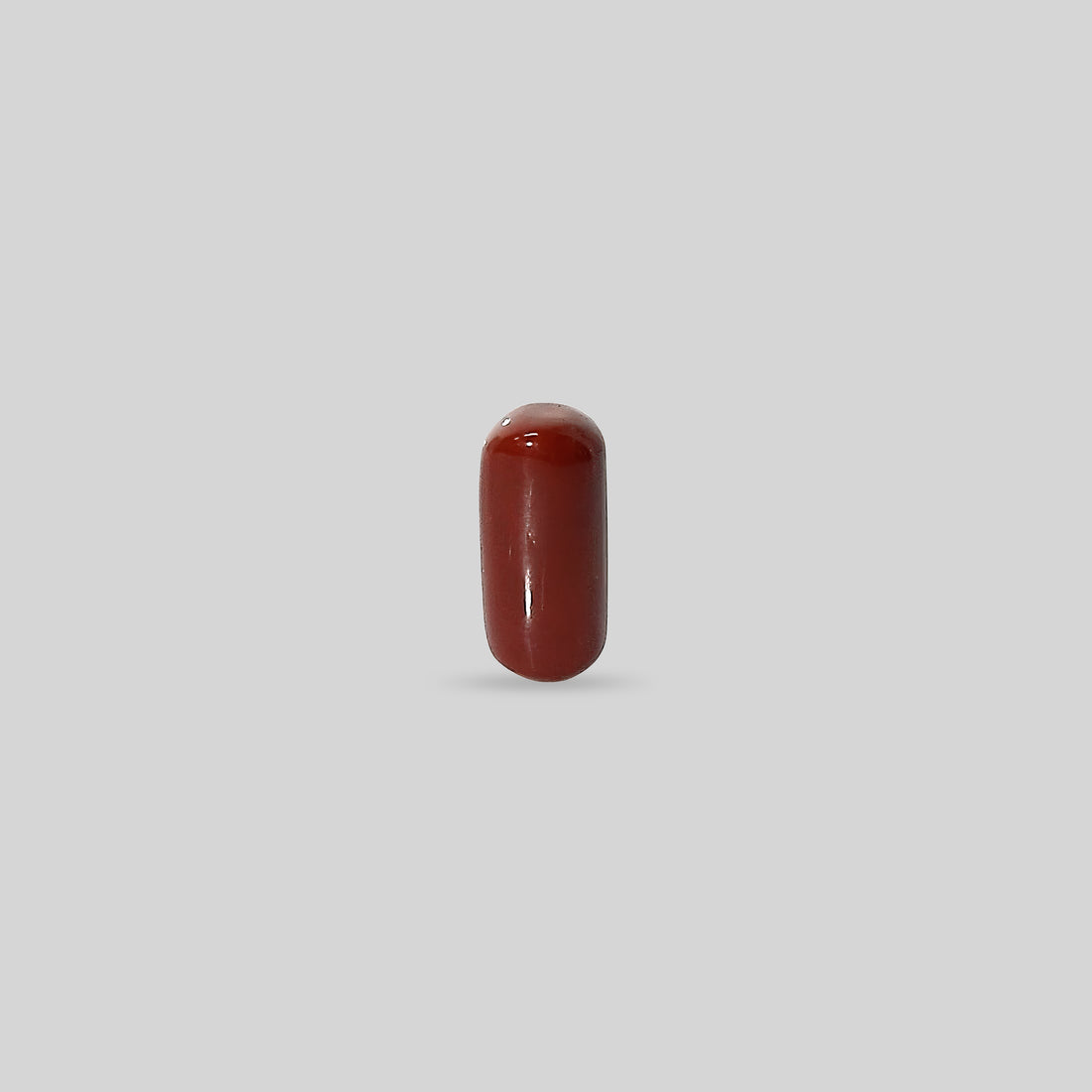 Italian Red Coral - 15.23 Carats