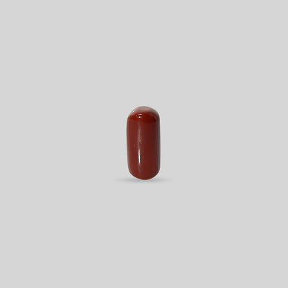 Italian Red Coral - 15.23 Carats