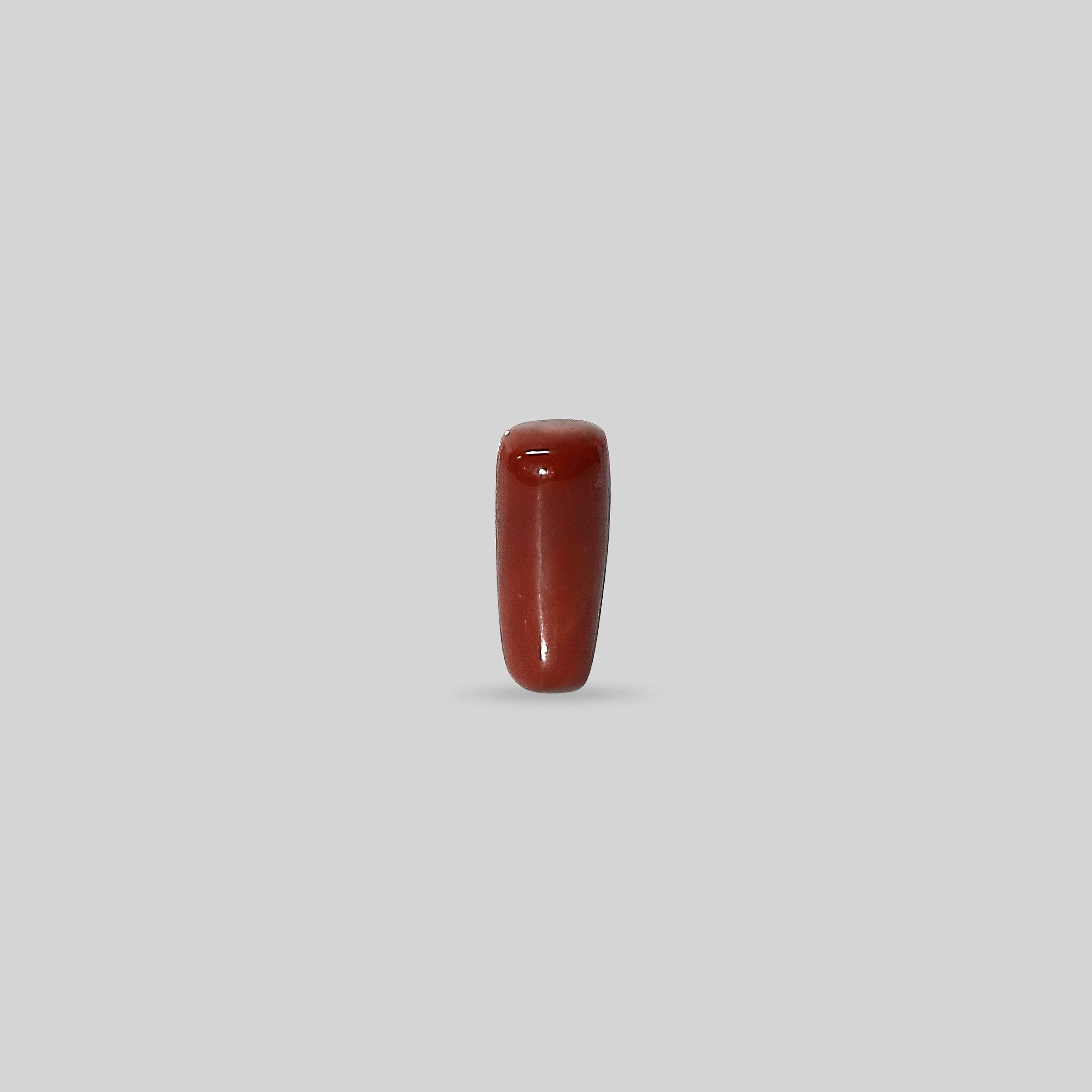 Italian Red Coral - 15.23 Carats