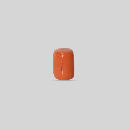 Italian Red Coral - 15.44 Carats