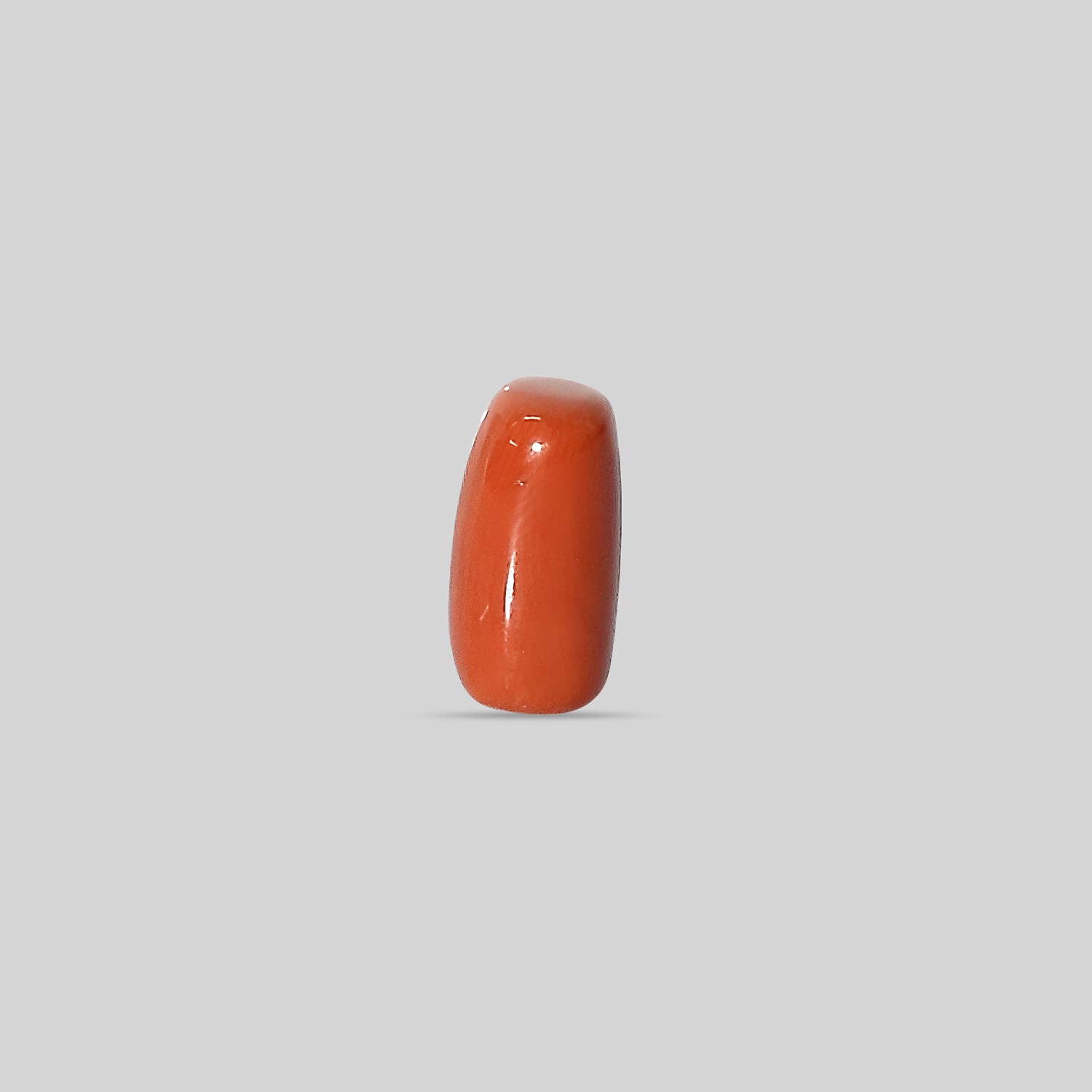 Italian Red Coral - 16.19 Carats