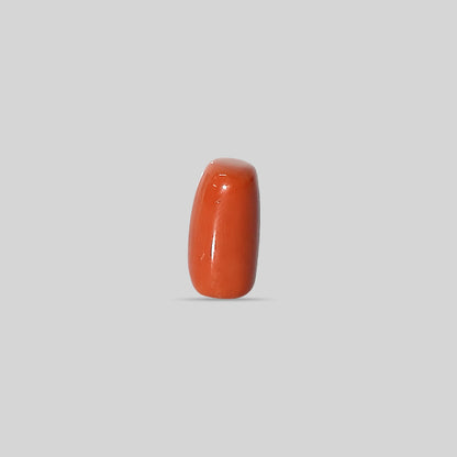 Italian Red Coral - 16.19 Carats