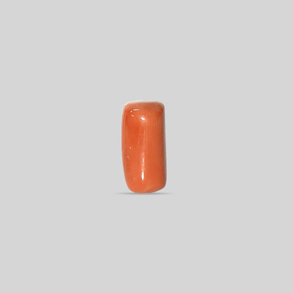 Italian Red Coral - 16.51 Carats