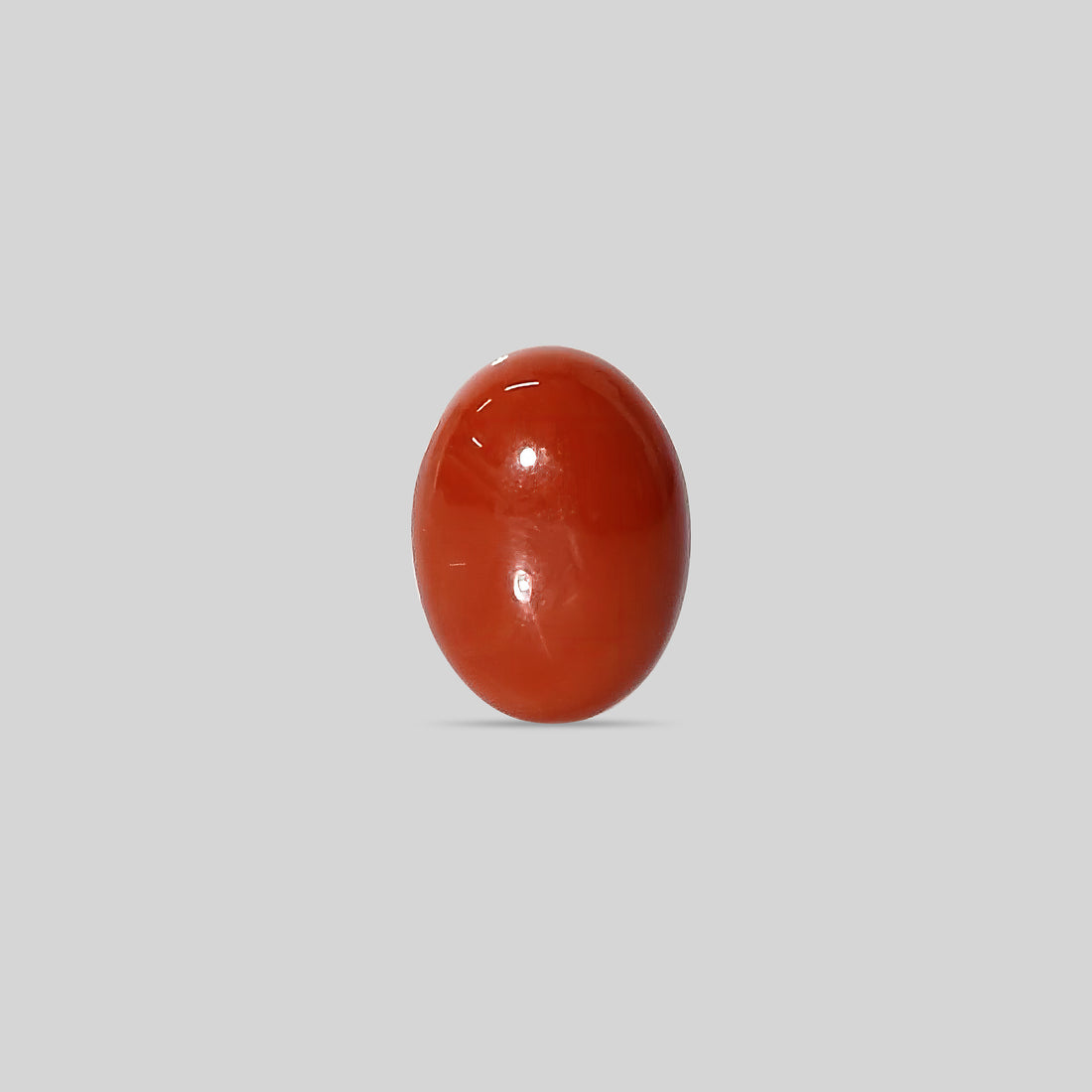 Japanese Red Coral - 19.73 Carats