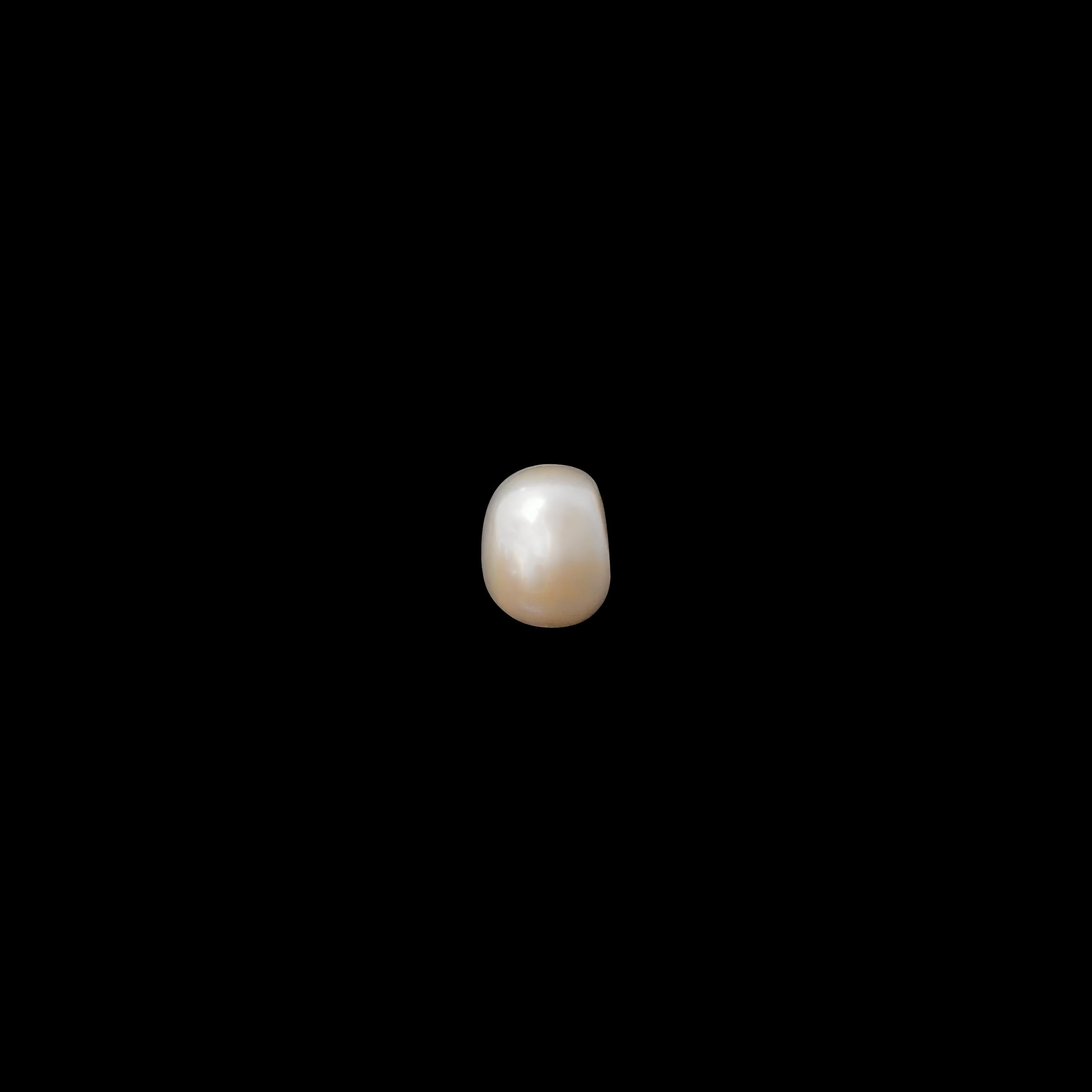 Freshwater Pearl - 7.76 Carats