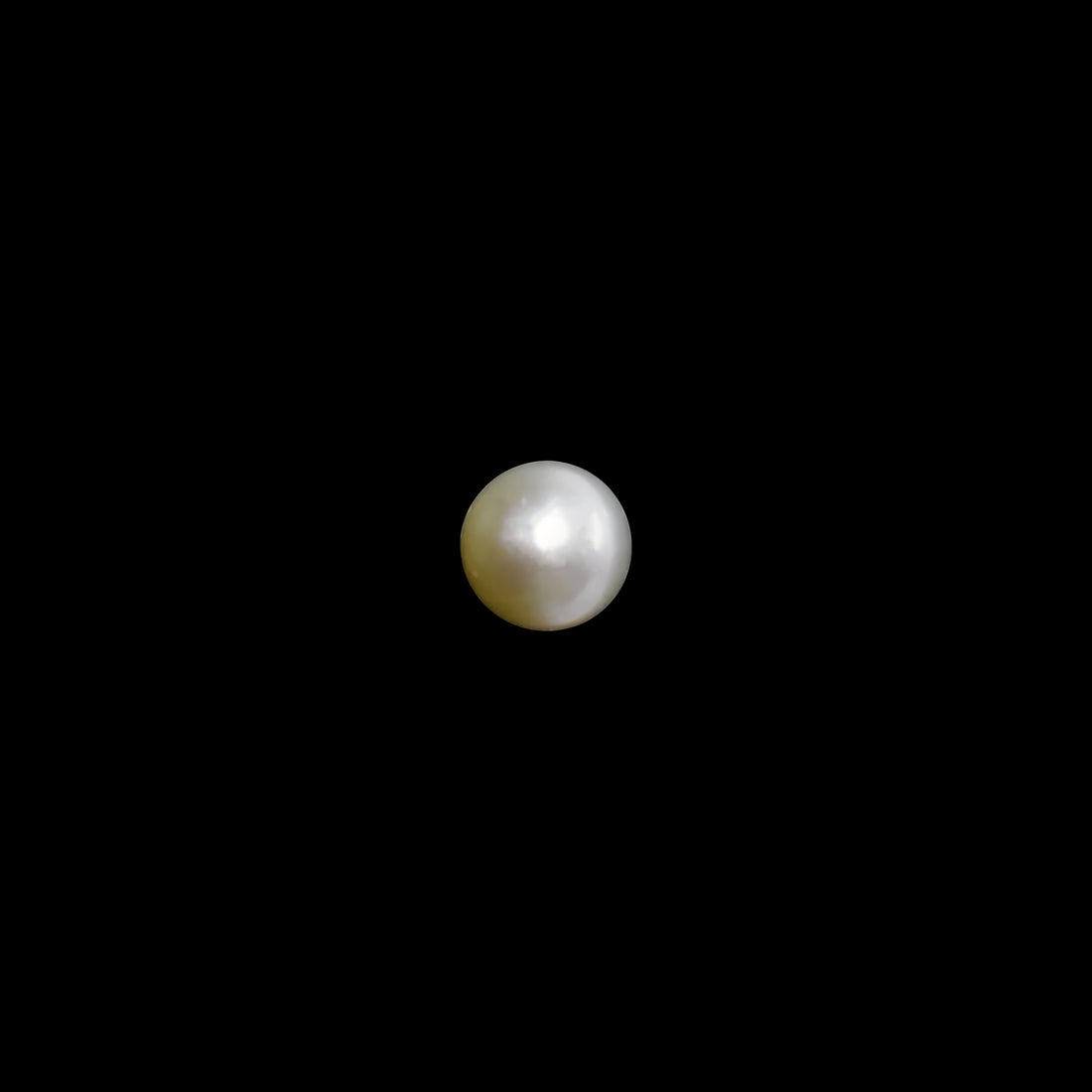 South Sea Pearl - 10.88 Carats