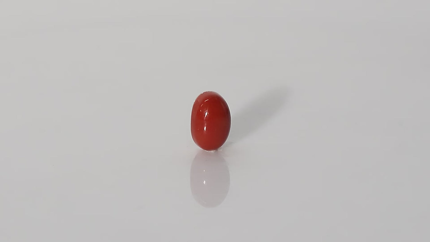 Italian Red Coral - 7.11 Carats