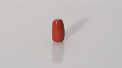 Italian Red Coral - 16.19 Carats