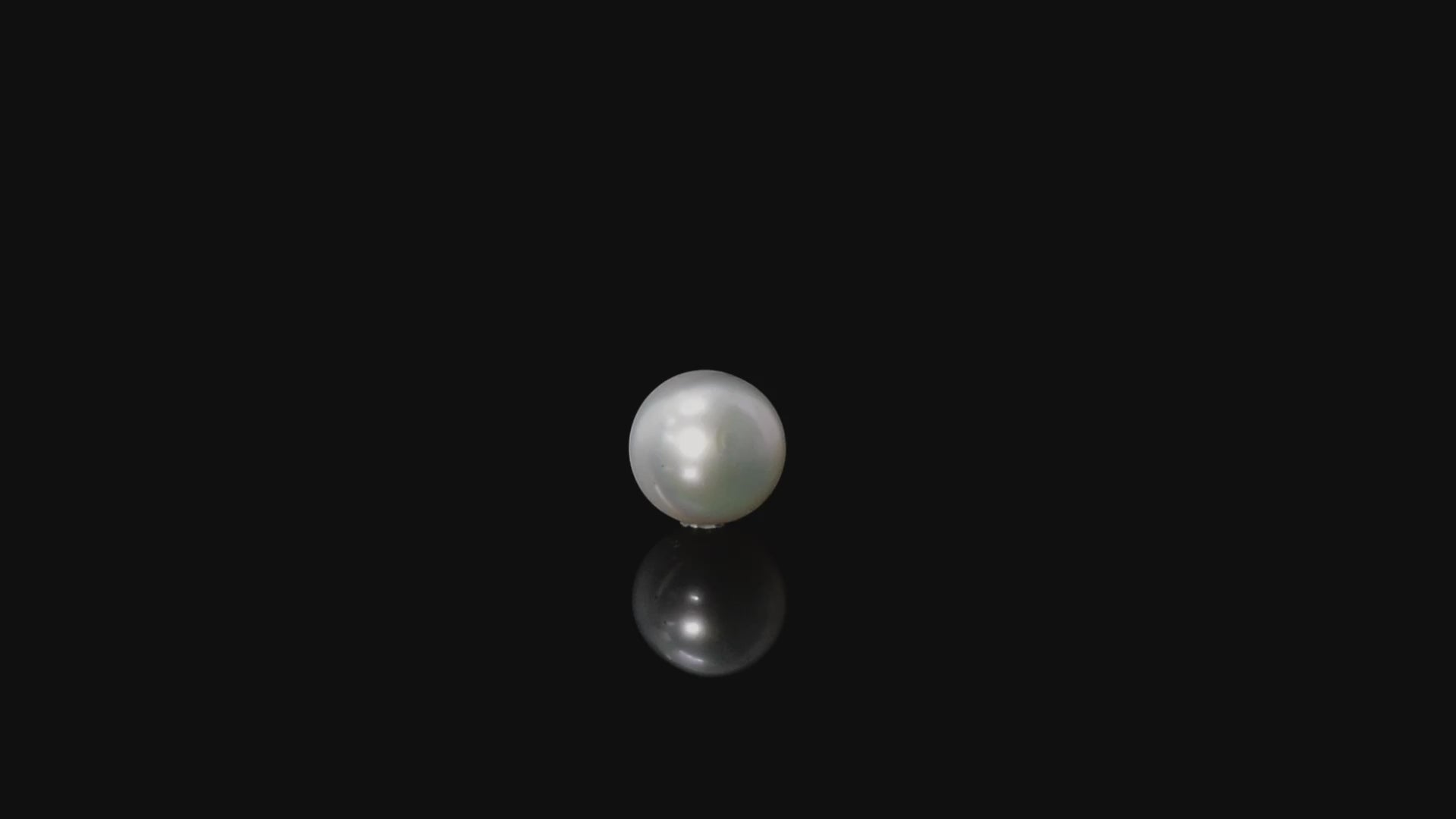 South Sea Pearl - 13.39 Carats