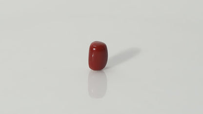 Italian Red Coral - 15.03 Carats