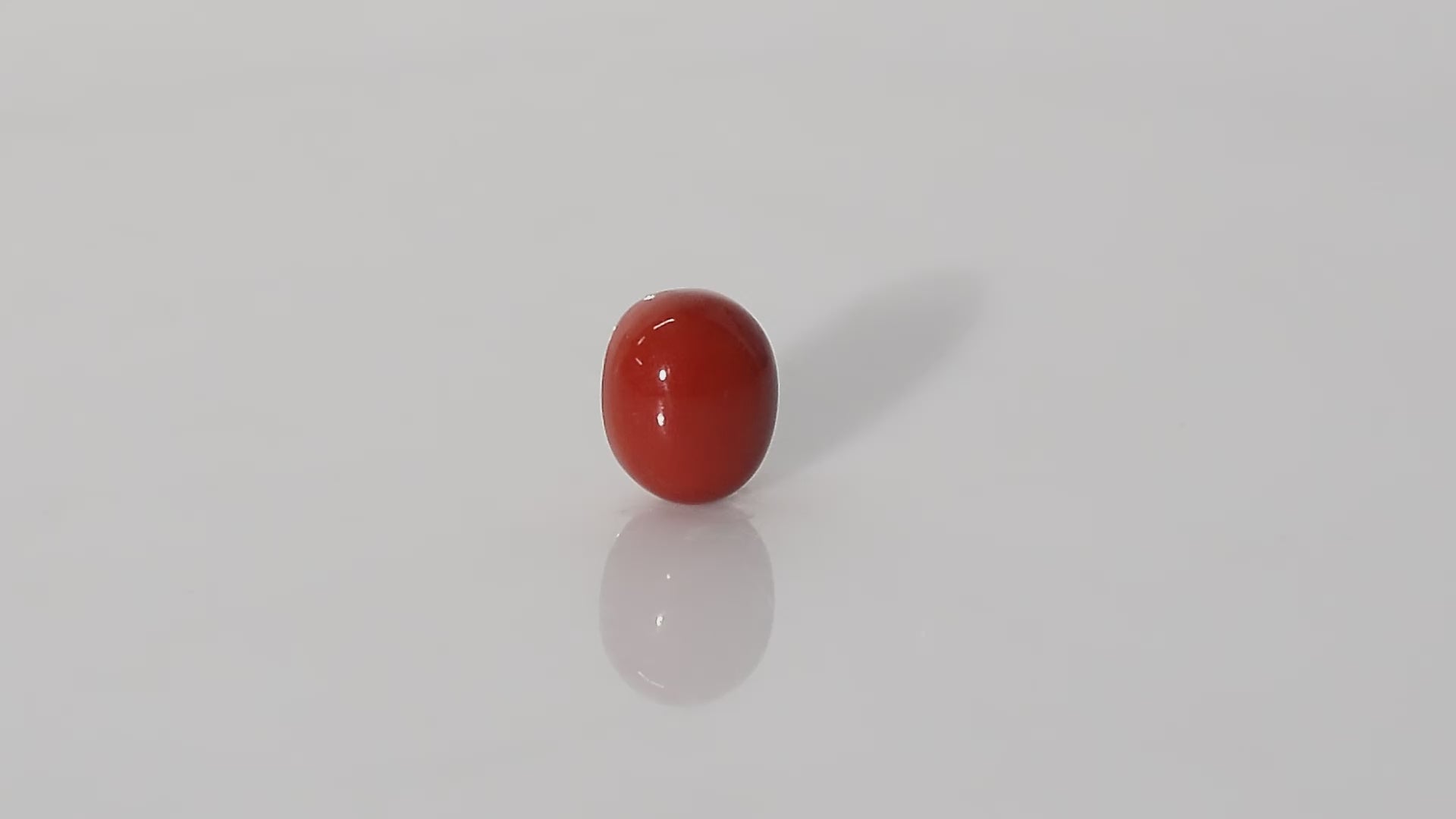 Italian Red Coral - 11.92 Carats