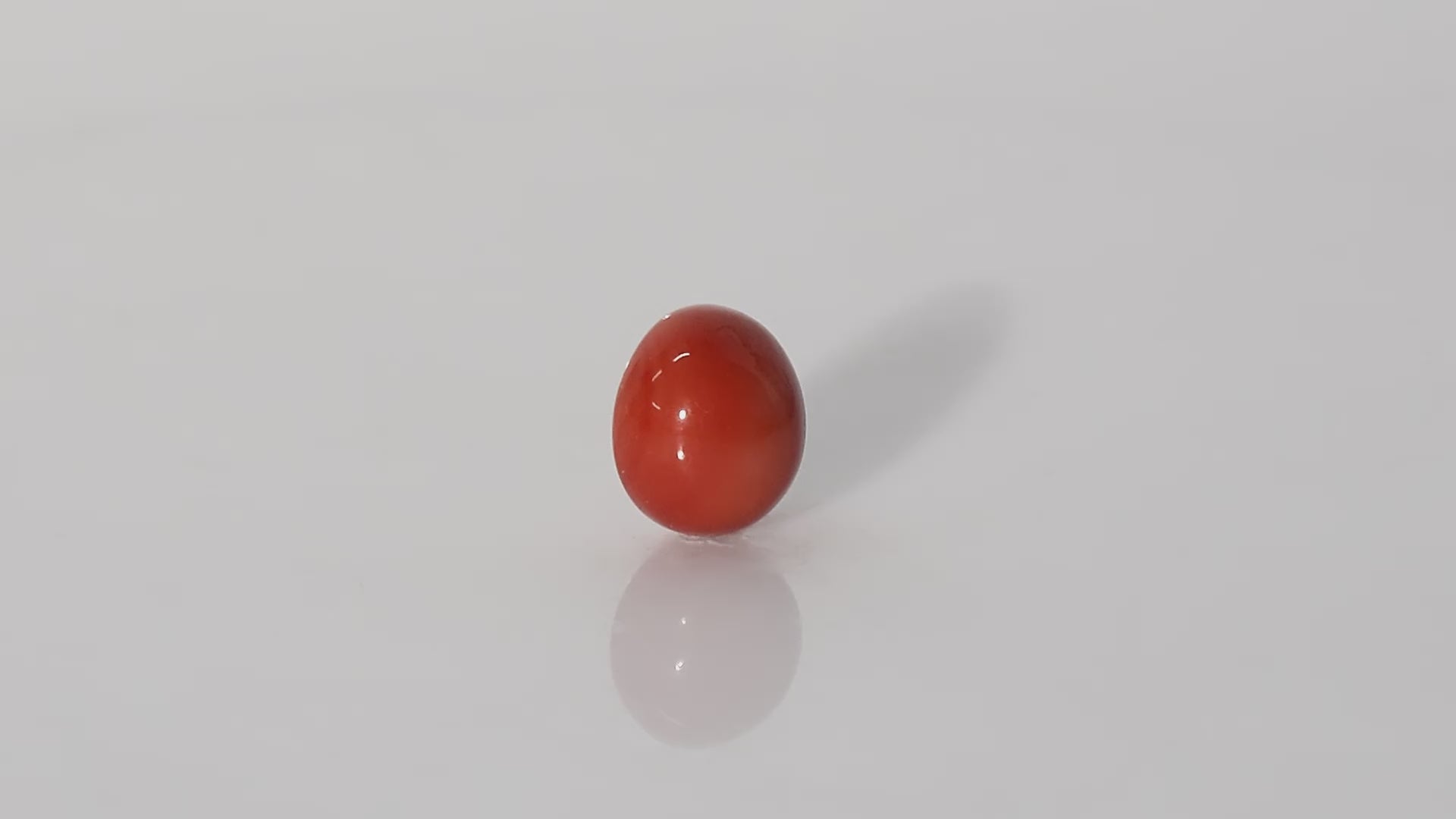 Japanese Red Coral - 12.99 Carats