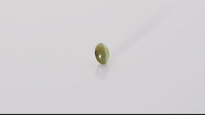 Chrysoberyl Cats Eye - 5.26 Carats